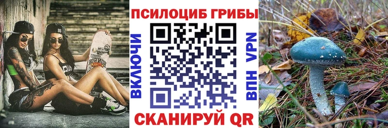 купить наркотик  Поронайск  Галлюциногенные грибы MAGIC MUSHROOMS 